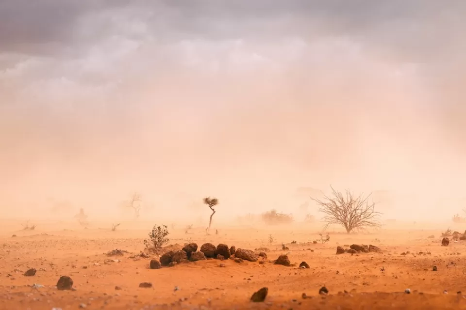 Dusty desert landscape with low visibility and few scraggly plants.
